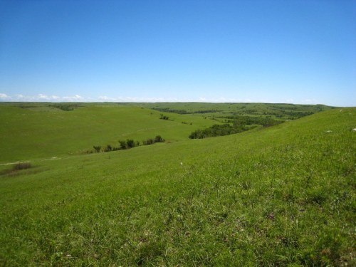 Vast green hills under a clear blue sky, with gentle slopes and scattered trees in the distance.