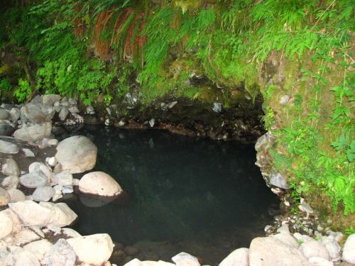 A serene natural pool surrounded by lush greenery and smooth stones, reflecting the tranquility of the environment.