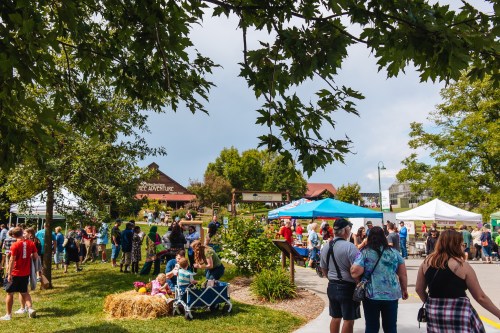 A lively outdoor event with people enjoying activities, food stalls, and greenery under a blue sky.