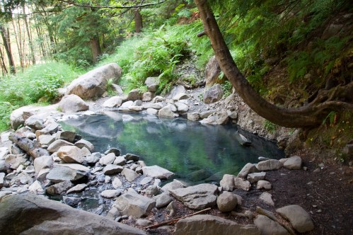 A serene natural hot spring surrounded by rocks and lush greenery in a forested area.