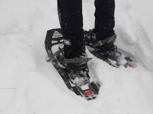 A person wearing snowshoes stands in deep snow, with snowflakes falling around them.