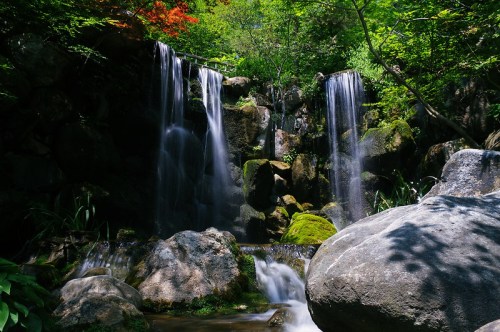 A serene waterfall cascades over rocks, surrounded by lush greenery and vibrant foliage.