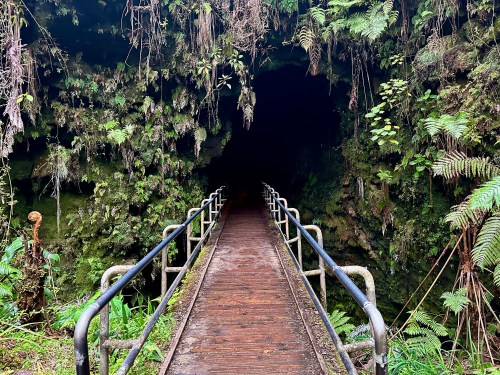 A wooden walkway leads into a dark cave, surrounded by lush green ferns and moss-covered walls.