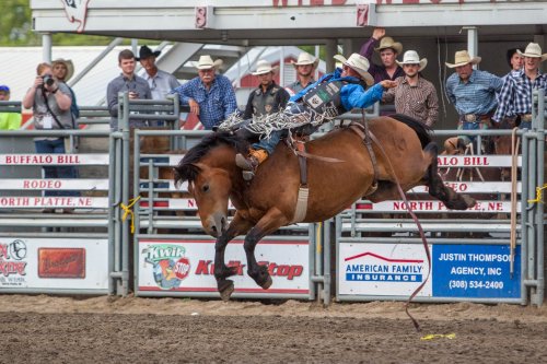 A cowboy rides a bucking horse at a rodeo, surrounded by spectators in cowboy hats. Dust and excitement fill the air.