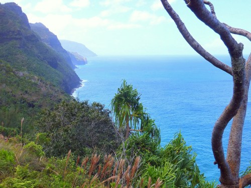 A scenic view of a coastline with lush greenery and cliffs overlooking a vibrant blue ocean under a clear sky.