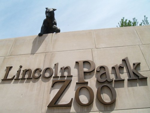 Sign for Lincoln Park Zoo with a statue of a bear perched on the wall above the entrance.