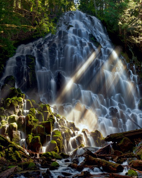 A serene waterfall cascades over moss-covered rocks, illuminated by sunlight filtering through the trees.