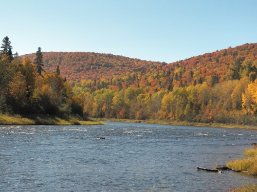 A serene river flows through a landscape of vibrant autumn foliage and rolling hills under a clear blue sky.