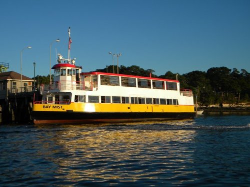 A yellow and white ferry named "Bay Mist" docked near a shoreline under a clear blue sky.