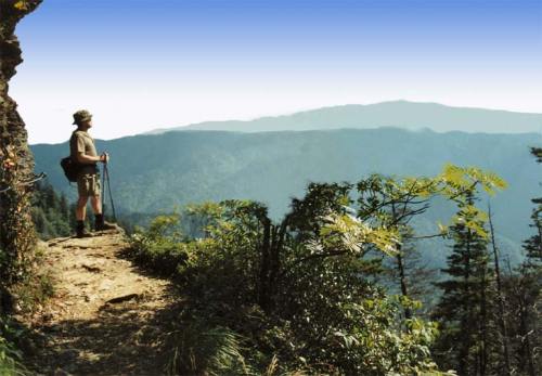 A hiker stands on a rocky ledge, overlooking a vast mountain landscape with lush greenery and distant peaks.