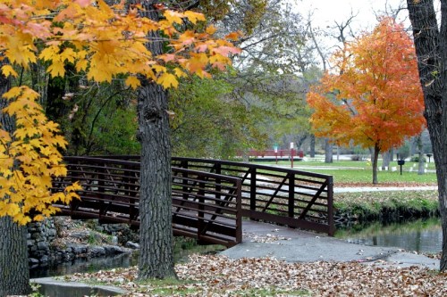 A serene park scene featuring a wooden bridge, colorful autumn leaves, and a calm waterway surrounded by trees.
