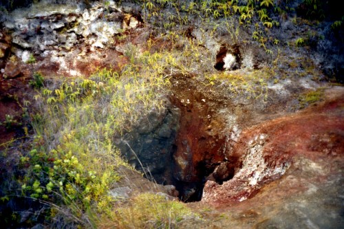 A rocky landscape featuring a dark cave entrance surrounded by colorful vegetation and earthy tones.