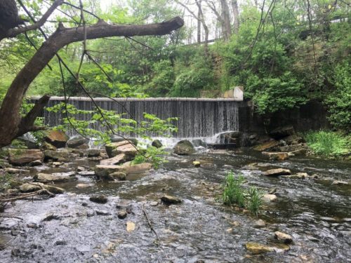 A serene stream flows over a small waterfall, surrounded by lush greenery and rocky banks.