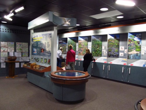 Visitors explore an educational exhibit featuring displays about nature and wildlife in a museum setting.