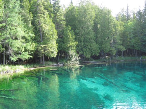A serene lake surrounded by lush green trees, with clear turquoise water reflecting the sunlight.