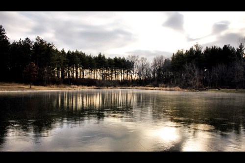 A tranquil lake reflects a cloudy sky and surrounding trees, with a hint of ice on the water's surface.