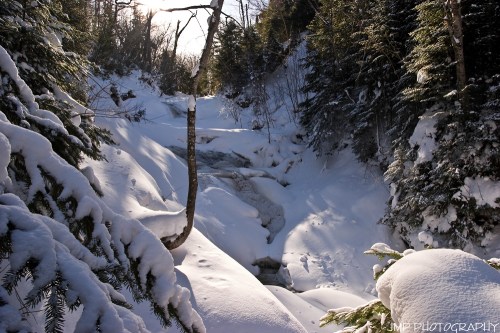 A serene winter landscape with a snow-covered riverbank and trees, sunlight filtering through the snowy branches.