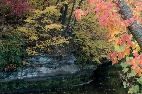 A serene landscape featuring colorful autumn leaves, a rocky shoreline, and a calm water reflection.
