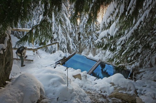 A snowy forest scene with a person near a partially buried glass structure surrounded by tall trees.