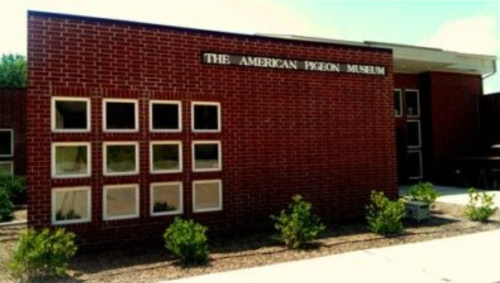 Exterior of The American Pigeon Museum, featuring a brick facade and small windows, surrounded by greenery.