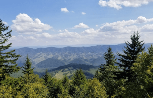 A scenic view of rolling mountains and valleys under a blue sky with fluffy clouds, framed by evergreen trees.