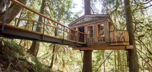 A rustic treehouse connected by a wooden bridge, nestled among tall green trees in a forest setting.