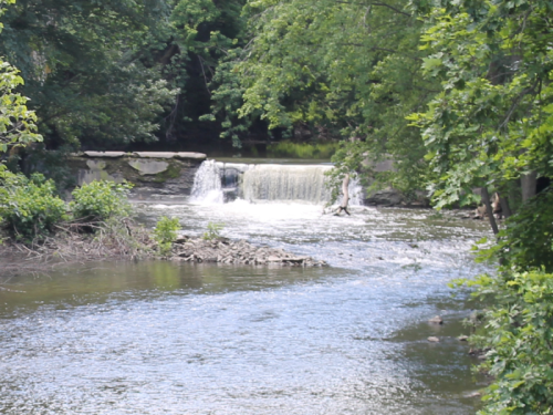 A serene river flows past a small waterfall, surrounded by lush green trees and foliage.