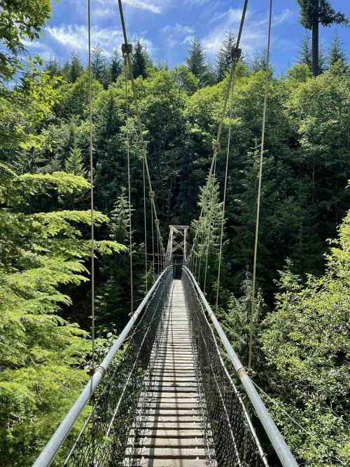 A suspension bridge stretches over a lush green forest under a clear blue sky.