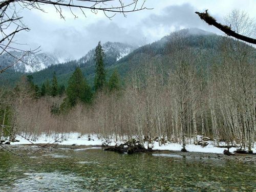 A serene river flows through a snowy landscape, surrounded by bare trees and misty mountains in the background.