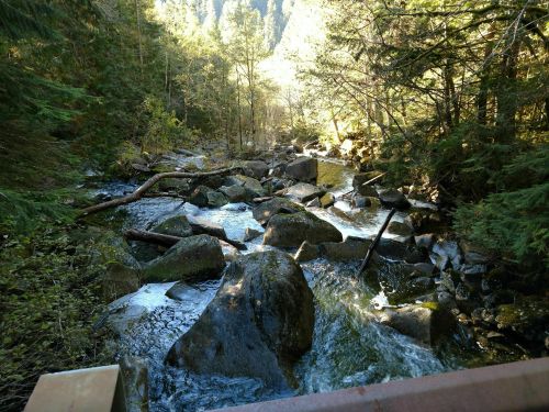 A serene stream flows over rocks, surrounded by lush greenery and sunlight filtering through the trees.