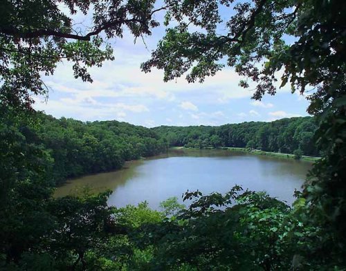 A serene lake surrounded by lush green trees under a bright blue sky with scattered clouds.