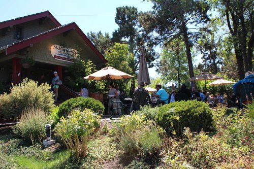 A sunny outdoor café with patrons seated under umbrellas, surrounded by greenery and trees.