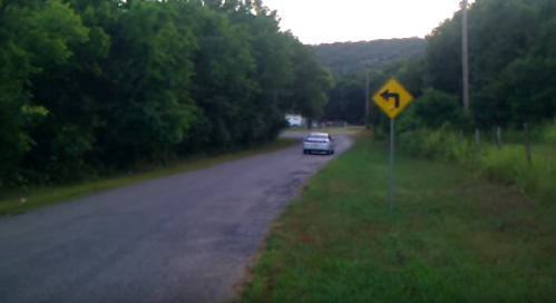 A winding road with a car approaching a left turn sign, surrounded by greenery and distant hills.