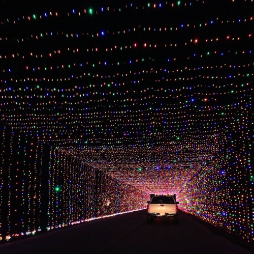 A car drives through a colorful tunnel of twinkling holiday lights at night.