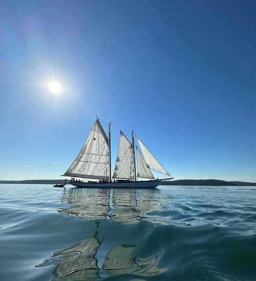 A sailboat with white sails glides across calm waters under a clear blue sky and bright sun.