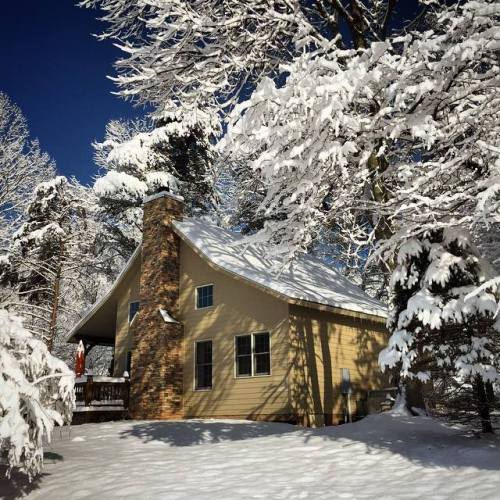 A cozy cabin surrounded by snow-covered trees under a clear blue sky.