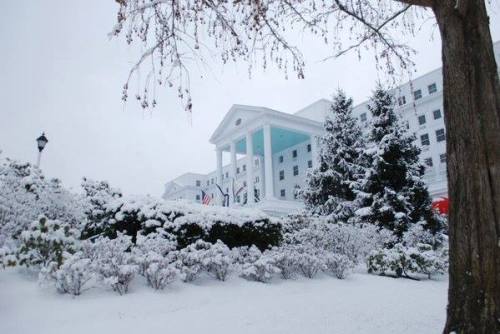 A snow-covered hotel with a grand entrance, surrounded by trees and shrubs blanketed in white snow.