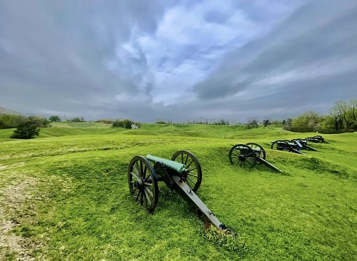 A row of historic cannons on a grassy field under a cloudy sky.