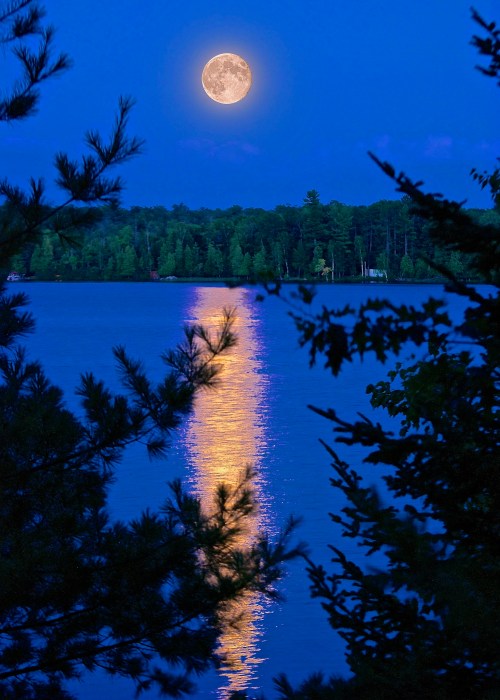 A full moon illuminates a calm lake, reflecting light on the water, framed by trees against a twilight sky.