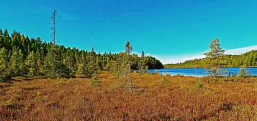 A serene landscape featuring a calm lake surrounded by lush green trees and vibrant autumn foliage under a clear blue sky.