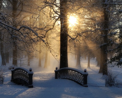 A serene winter scene with a snow-covered bridge, trees, and sunlight streaming through the misty air.