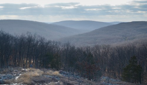 A serene landscape of rolling hills and bare trees under a cloudy sky, with soft light illuminating the scene.
