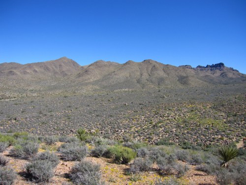 A vast desert landscape with rolling mountains under a clear blue sky, dotted with sparse vegetation.