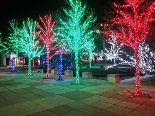 Colorful trees adorned with red, green, and white lights illuminate a nighttime plaza.