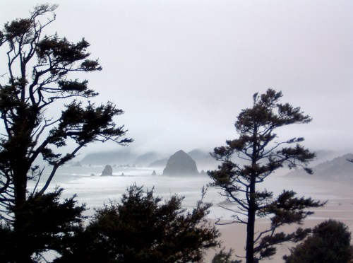 Foggy coastal scene with rocky formations and silhouetted trees in the foreground.