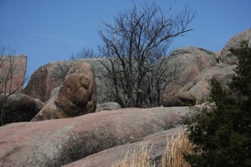 Rocky landscape with large boulders, sparse vegetation, and a bare tree against a clear blue sky.