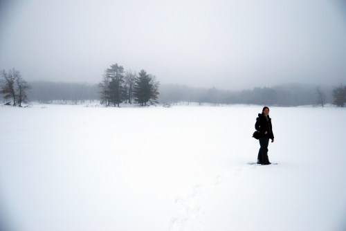 A person stands on a snowy landscape with trees in the background, shrouded in fog.