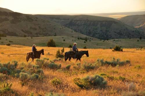 Two riders on horseback traverse a grassy landscape with rolling hills under a golden sunset.