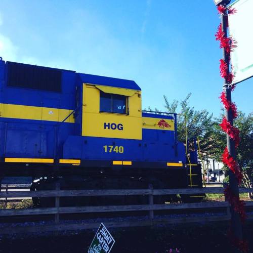 A blue and yellow train engine labeled "HOG 1740" parked beside a wooden fence with greenery in the background.