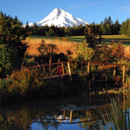 A serene landscape featuring a snow-capped mountain, lush greenery, and a calm pond reflecting the scenery.